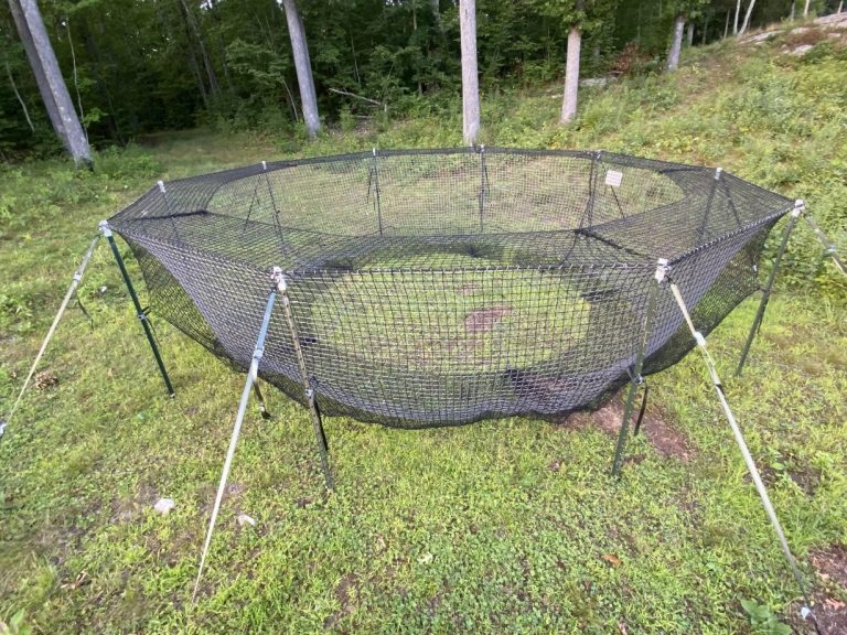 Pig Brig XT Trap System - Australian Trapping Systems