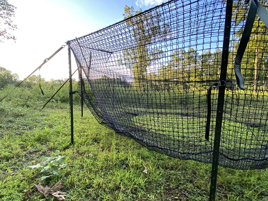Australian Trapping Systems  Feral Animal Traps & Equipment